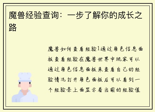 魔兽经验查询：一步了解你的成长之路