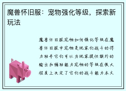 魔兽怀旧服：宠物强化等级，探索新玩法